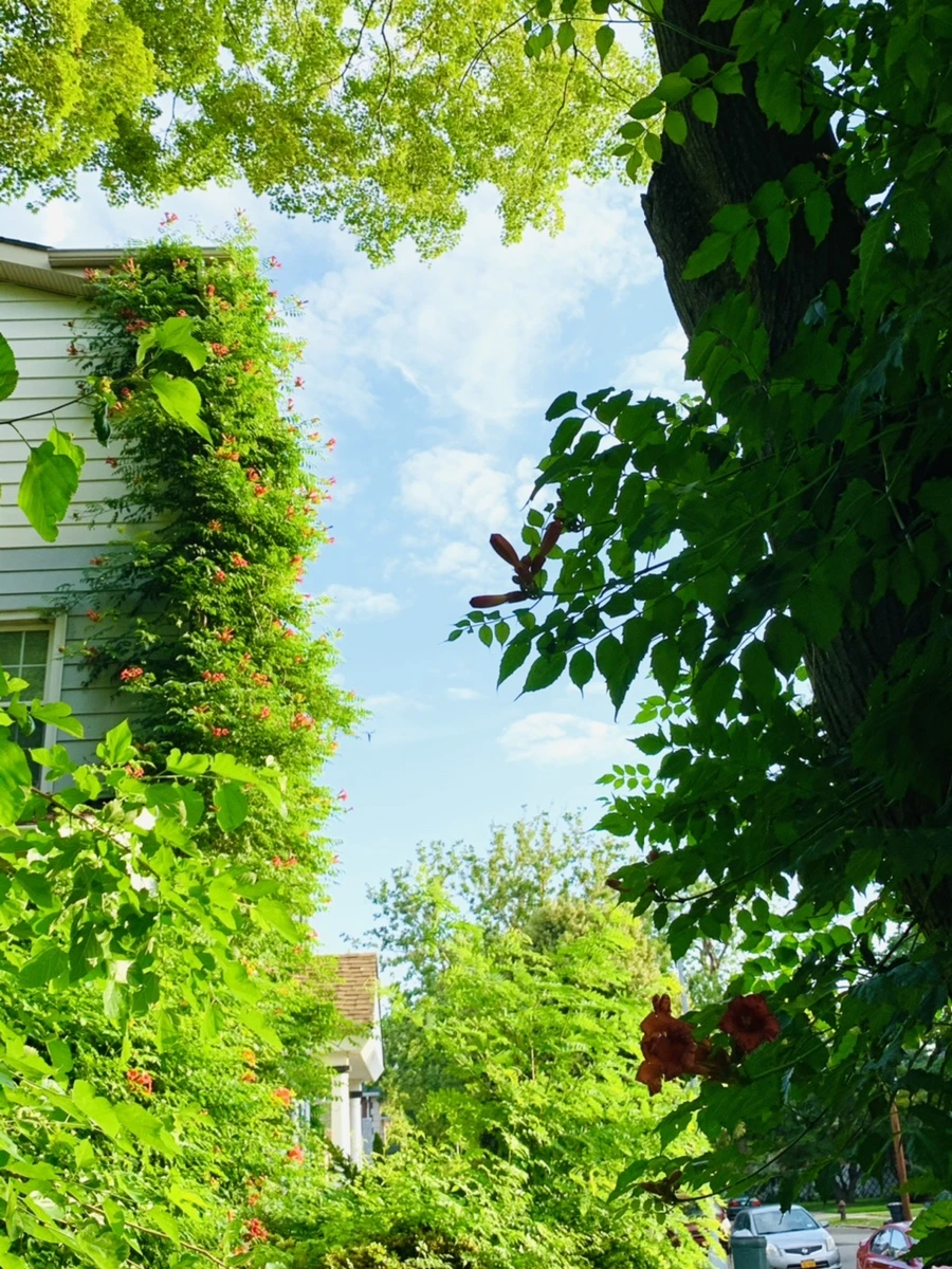 IMG_5855.jpg?type=w966