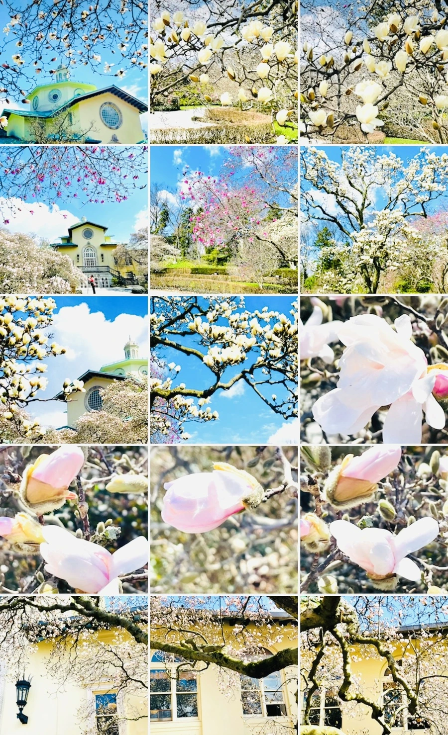 IMG_7247.jpg?type=w966