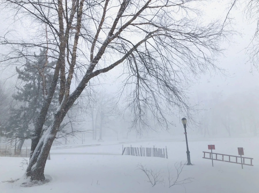 IMG_8802.jpg?type=w966