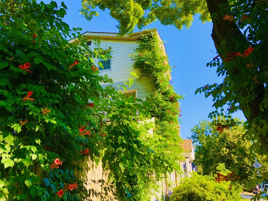 IMG_2774.jpg?type=w966