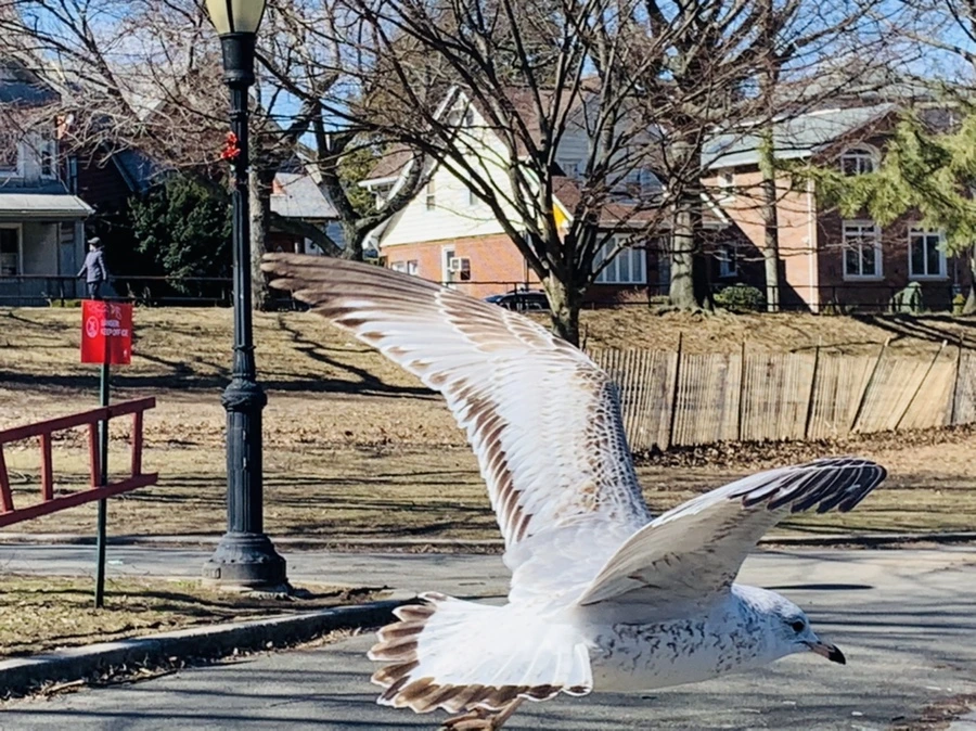 IMG_8269.jpg?type=w966