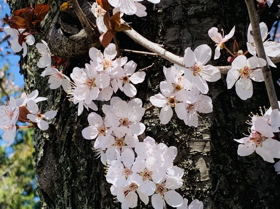 IMG_7719.jpg?type=w966