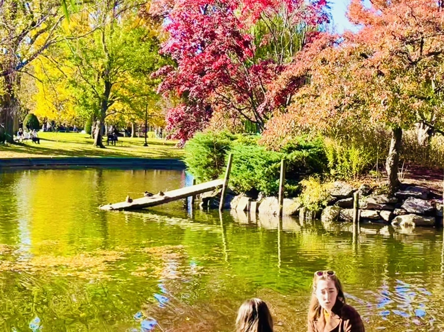 IMG_2544.jpg?type=w966