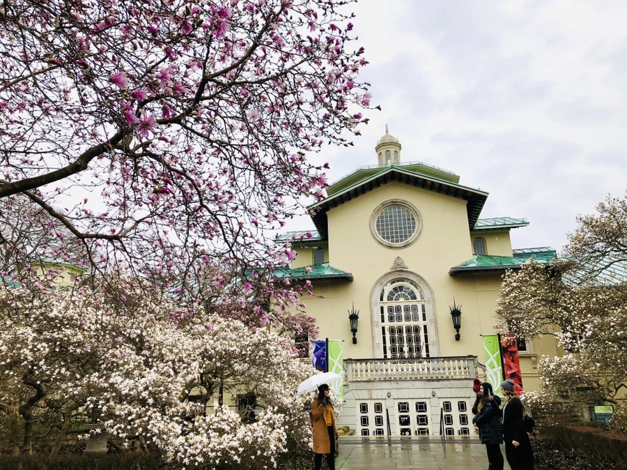 IMG_2378.jpg?type=w966