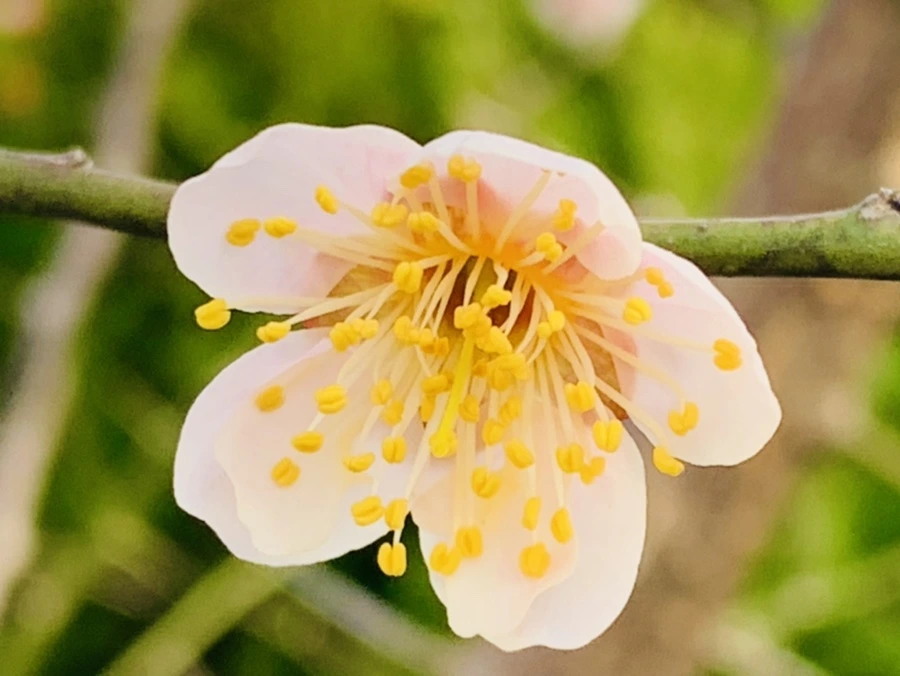 IMG_0268.jpg?type=w966