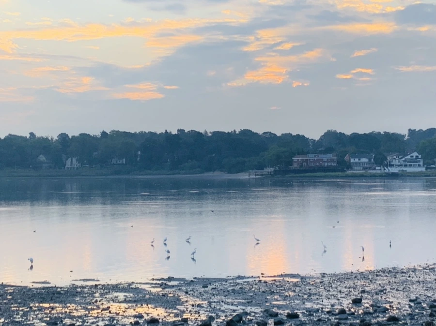 IMG_8206.jpg?type=w966