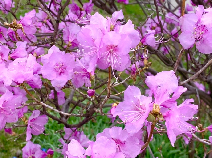 IMG_5956.jpg?type=w966