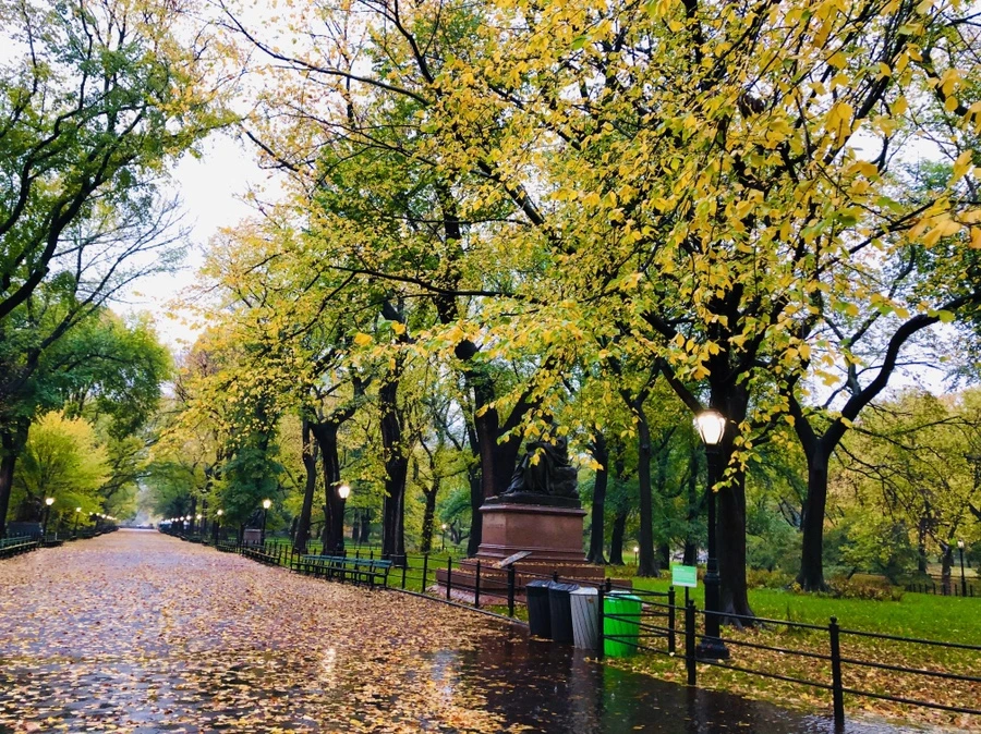 IMG_3129.jpg?type=w966