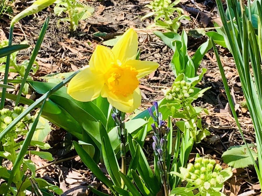 IMG_5774.jpg?type=w966