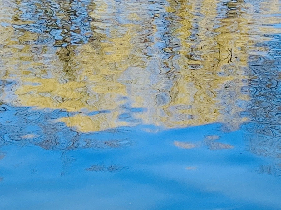 IMG_0631.jpg?type=w966