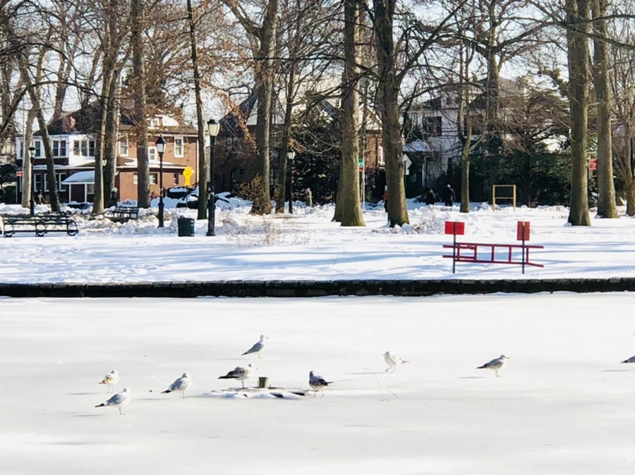 IMG_0346.jpg?type=w966