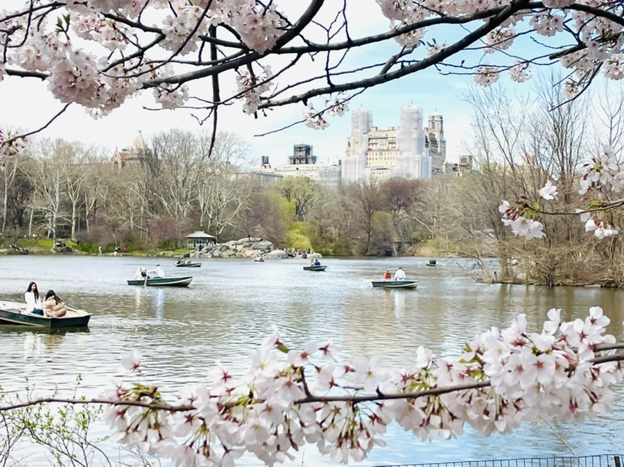 IMG_9853.jpg?type=w966