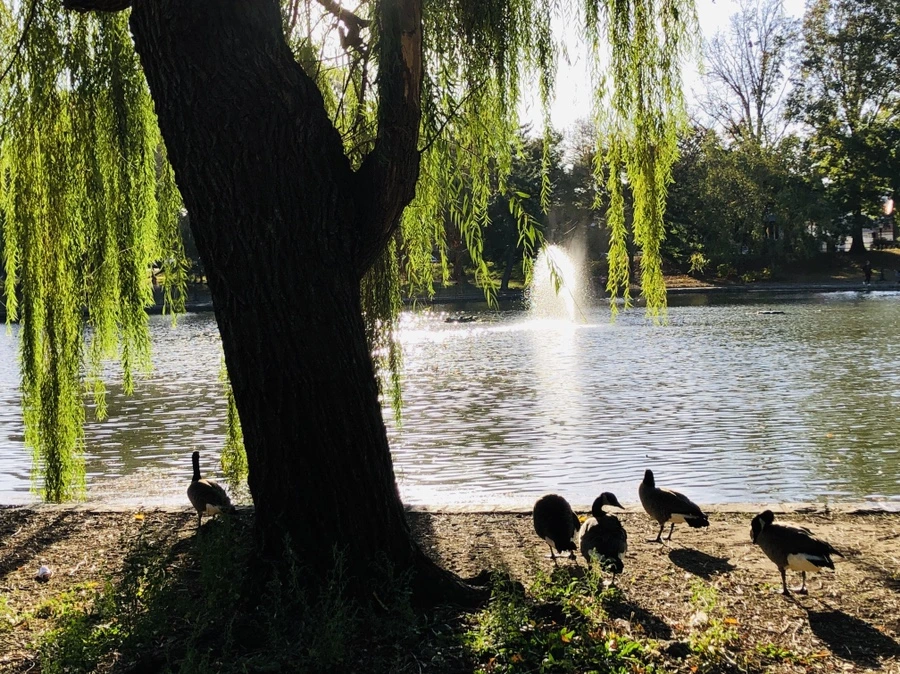 IMG_1874.jpg?type=w966