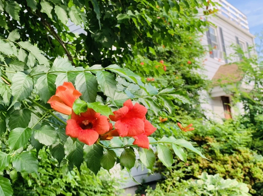 IMG_5715.jpg?type=w966