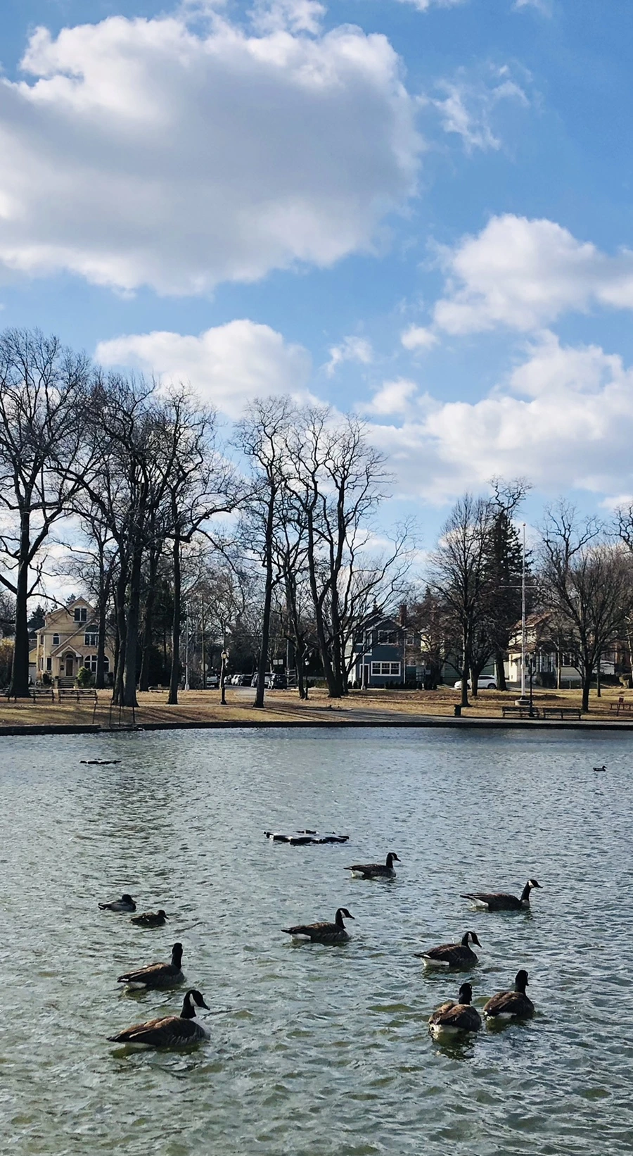 IMG_0164.jpg?type=w966