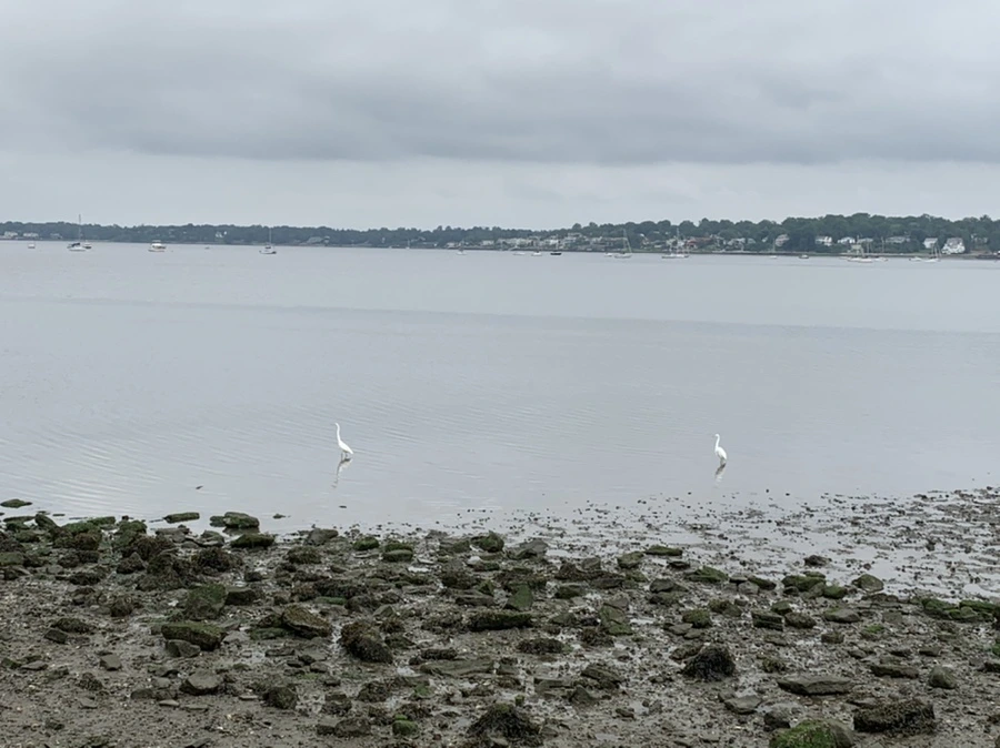 IMG_3695.jpg?type=w966