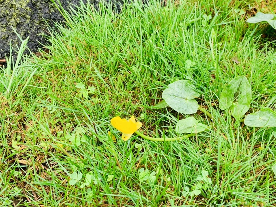 IMG_5050.jpg?type=w966