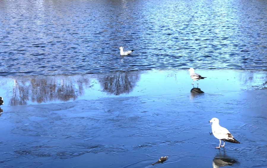 IMG_0526.jpg?type=w966