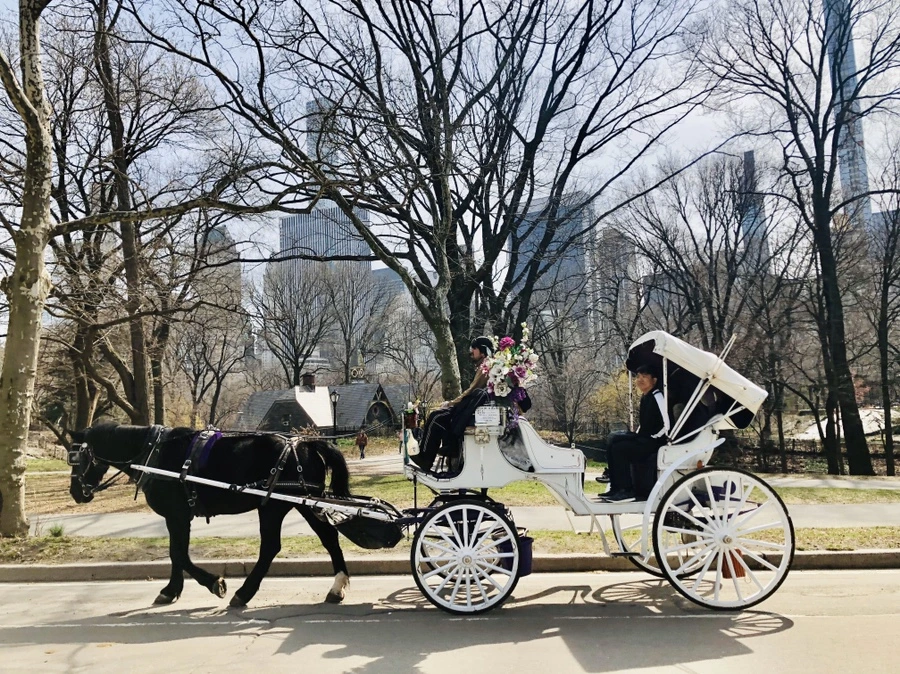 IMG_6460.jpg?type=w966