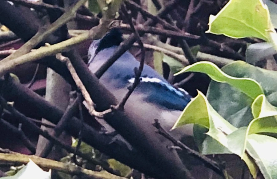 IMG_6345.jpg?type=w966