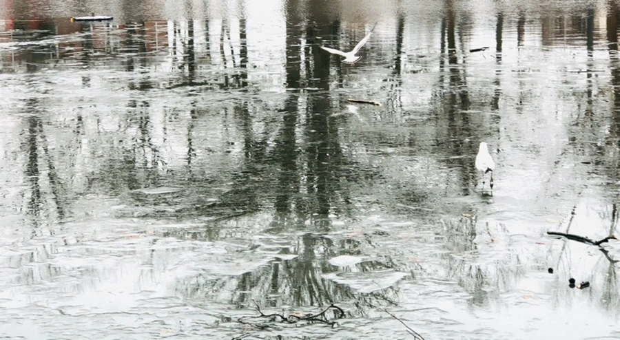 IMG_3178.jpg?type=w966