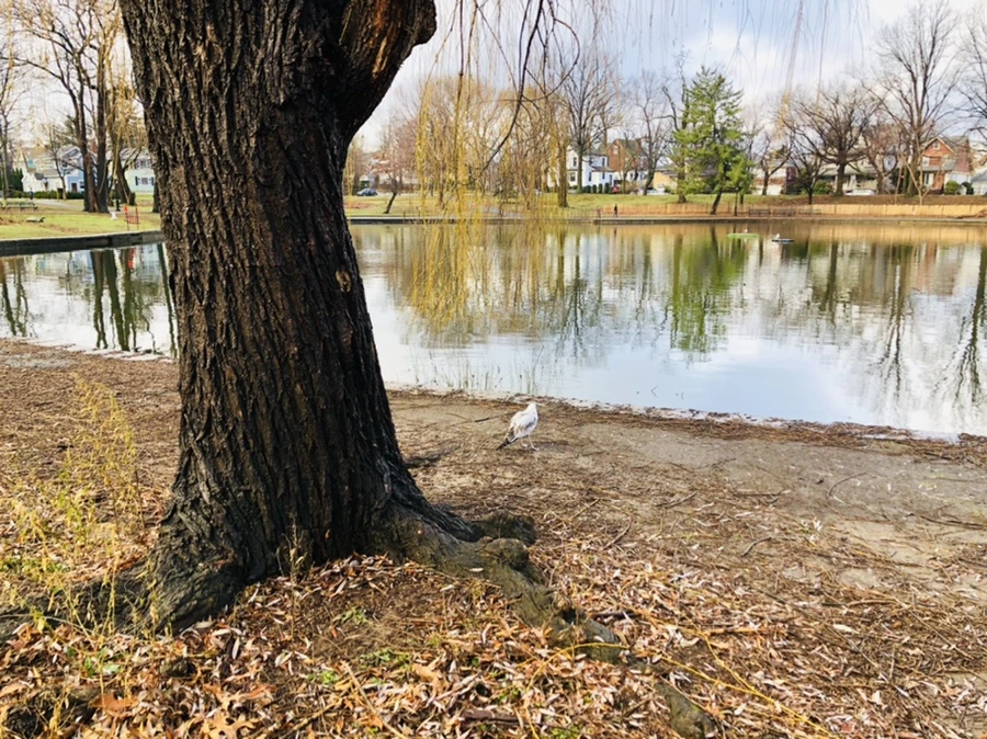 IMG_9152.jpg?type=w966