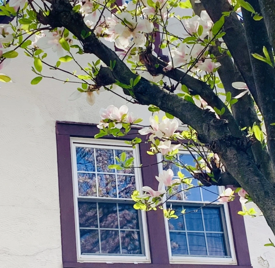 IMG_3945.jpg?type=w966