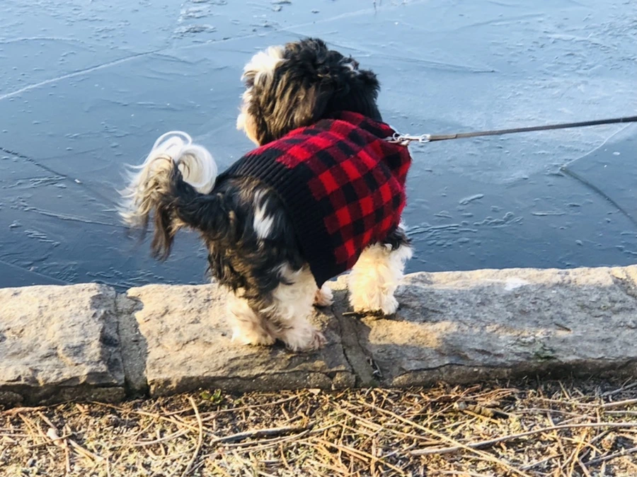 IMG_2275.jpg?type=w966