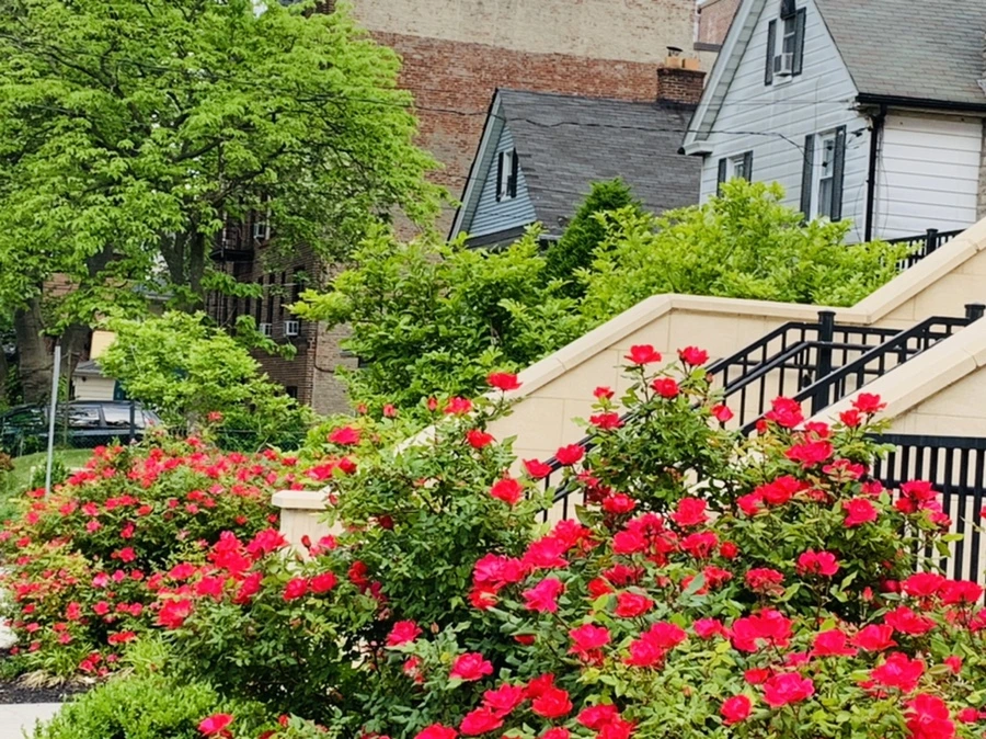 IMG_4830.jpg?type=w966