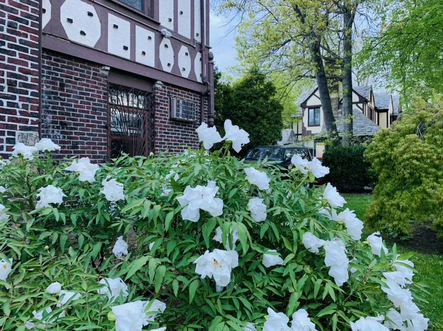 IMG_7542.jpg?type=w966