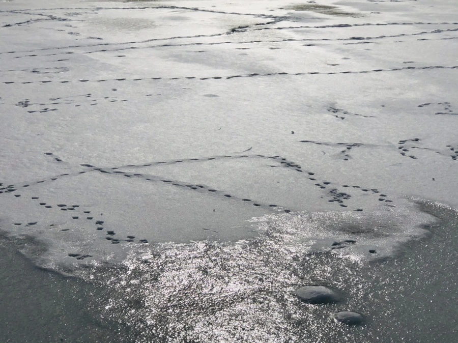 IMG_1704.jpg?type=w966