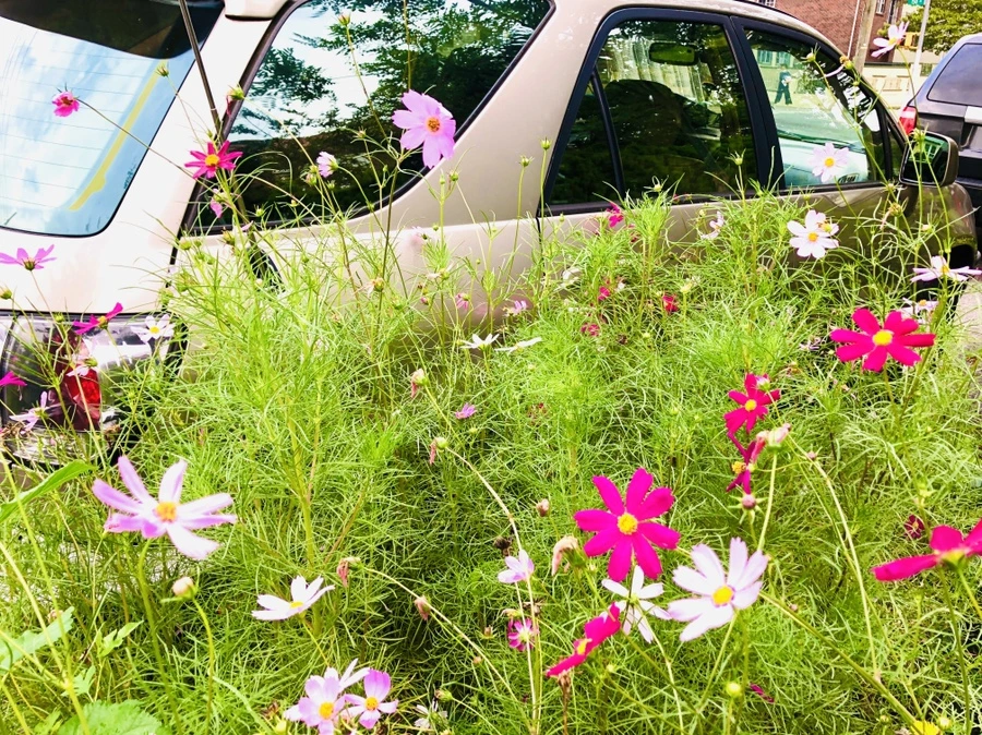 IMG_4134.jpg?type=w966