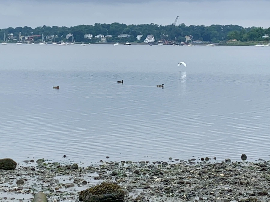 IMG_3735.jpg?type=w966