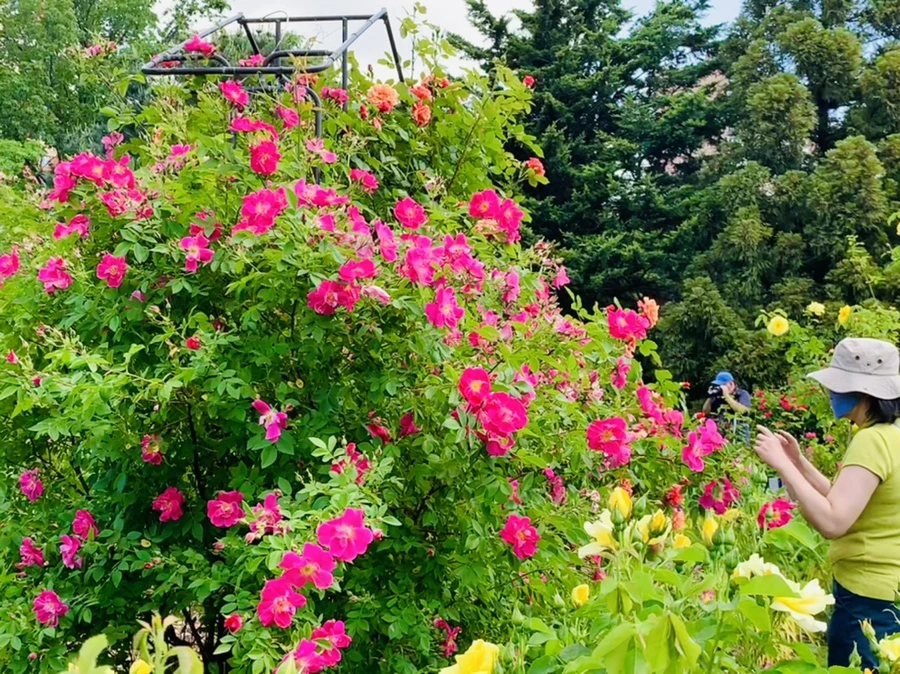 IMG_5818.jpg?type=w966