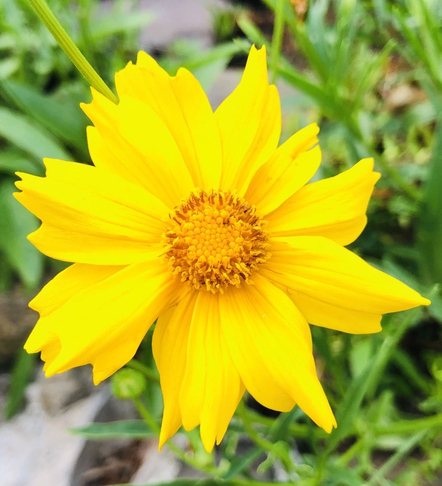 IMG_1669.jpg?type=w966