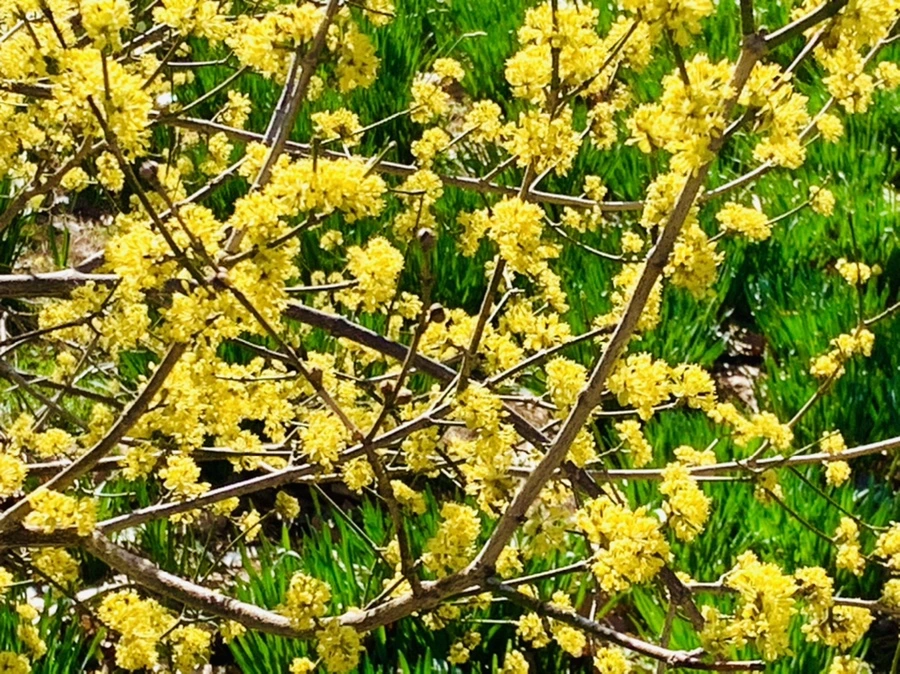 IMG_5677.jpg?type=w966