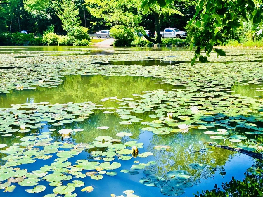 IMG_9748.jpg?type=w966