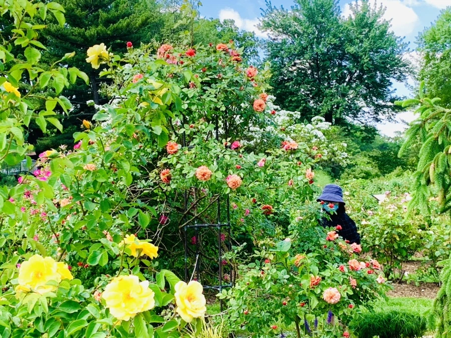 IMG_5849.jpg?type=w966