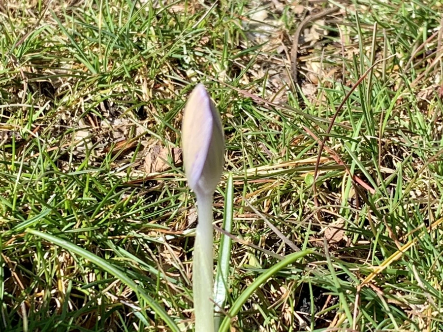 IMG_7474.jpg?type=w966