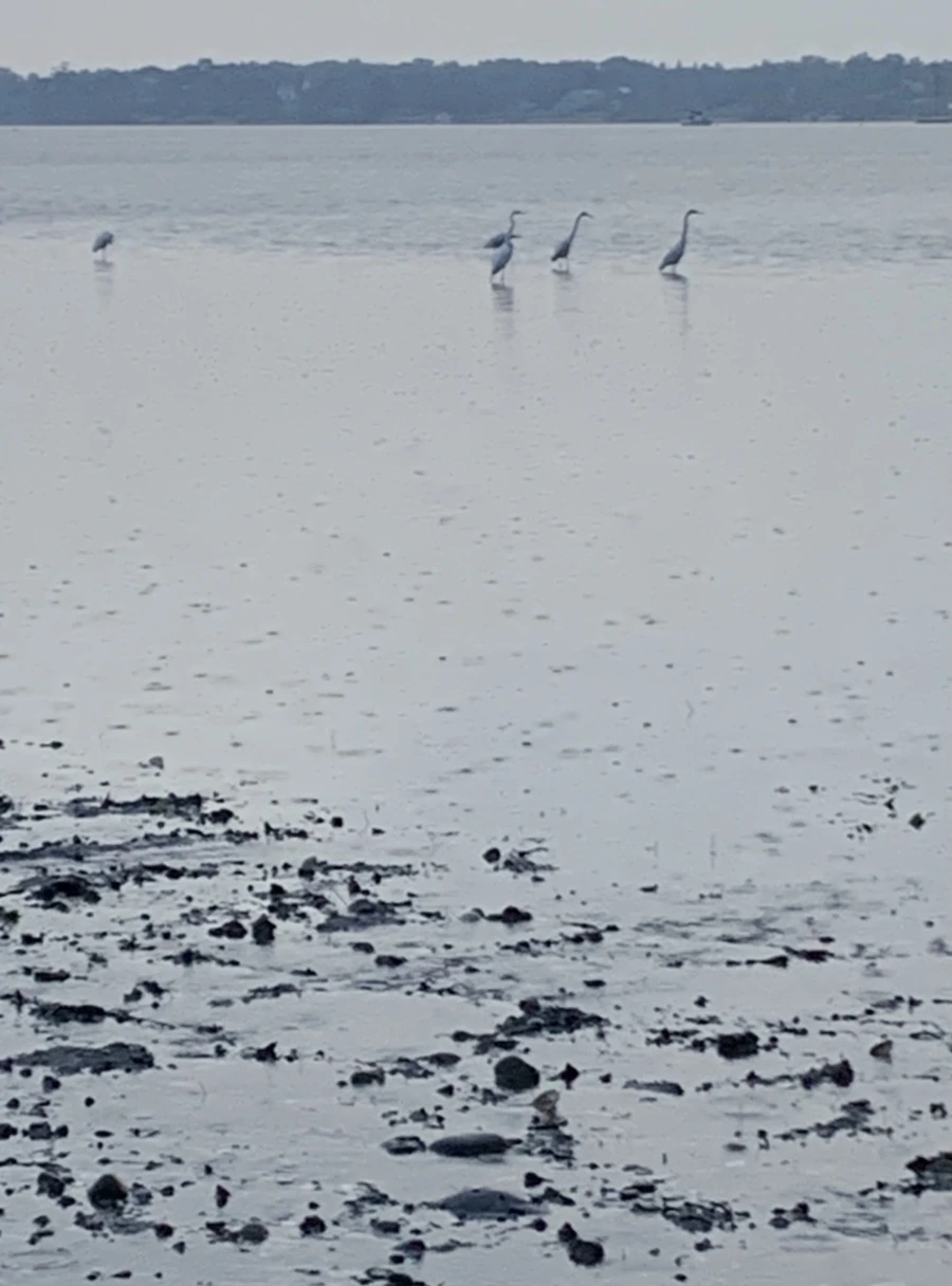 IMG_8131.jpg?type=w966