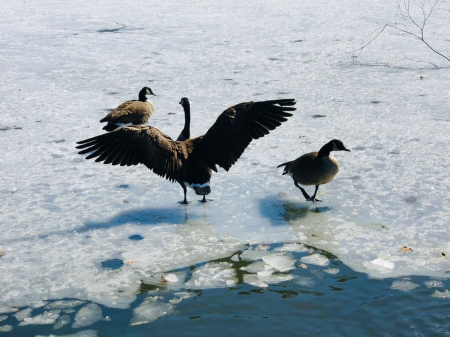 IMG_5325.jpg?type=w966