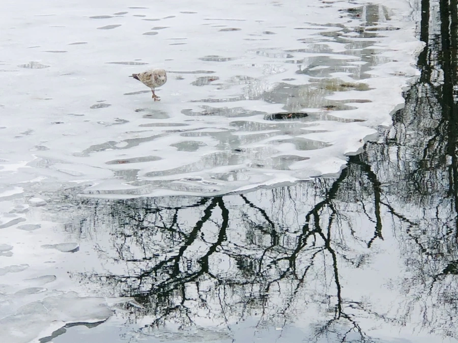 IMG_6511.jpg?type=w966