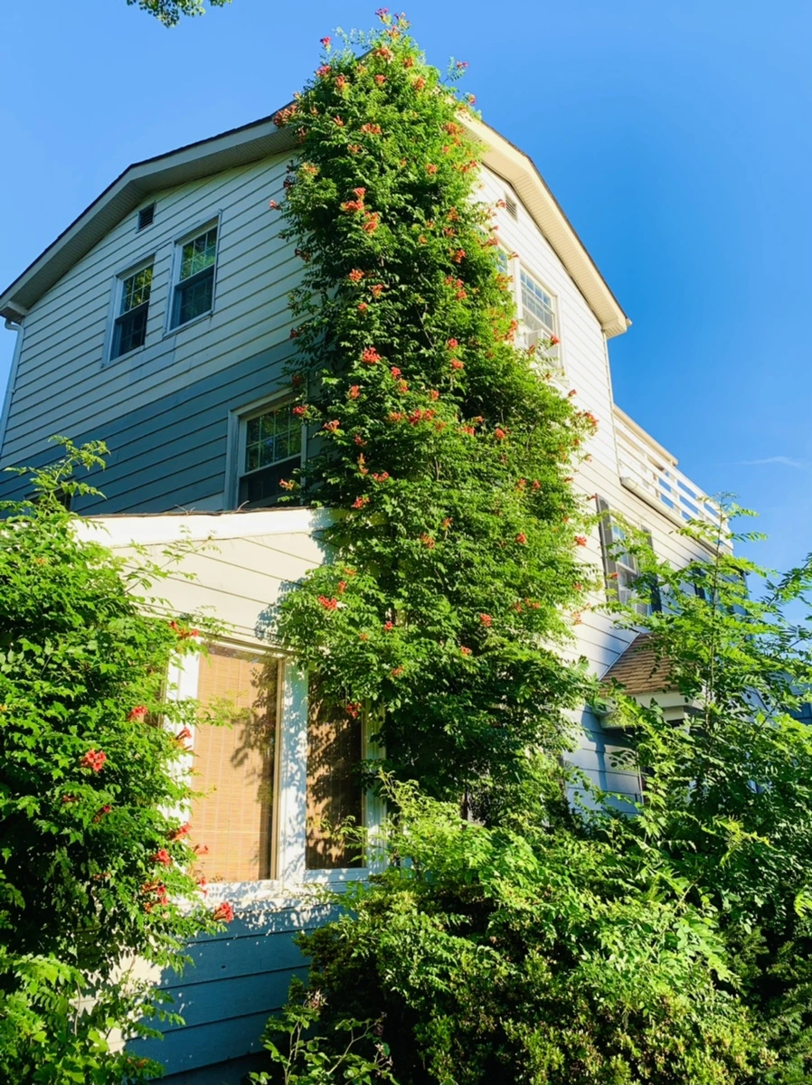 IMG_6499.jpg?type=w966