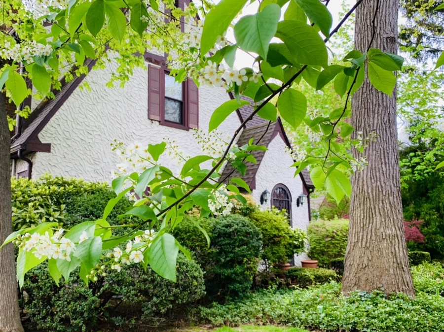 IMG_6117.jpg?type=w966