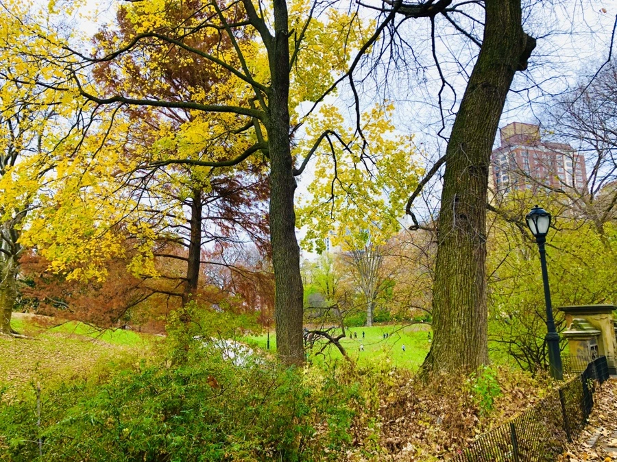 IMG_5383.jpg?type=w966