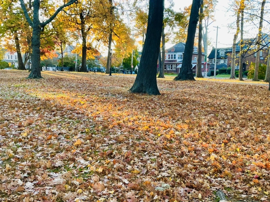 IMG_4091.jpg?type=w966