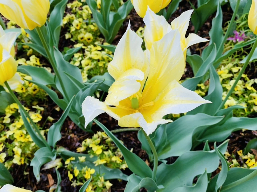 IMG_9843.jpg?type=w966