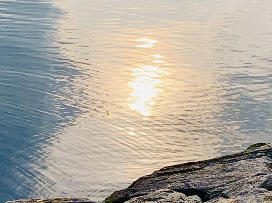 IMG_1594.jpg?type=w966