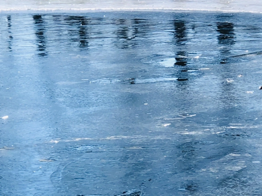 IMG_7792.jpg?type=w966