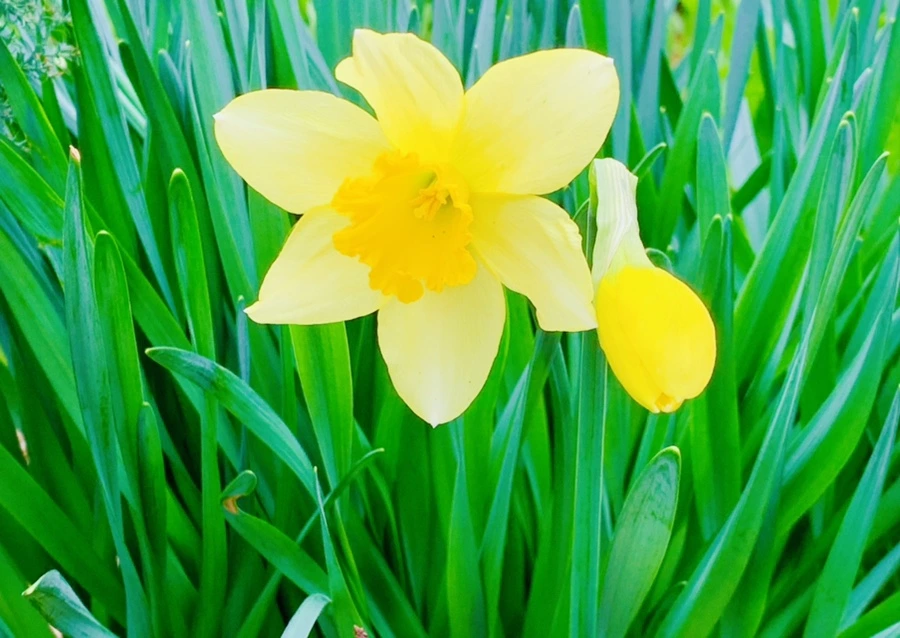 IMG_5892.jpg?type=w966